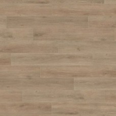 Oak Veneto Crema